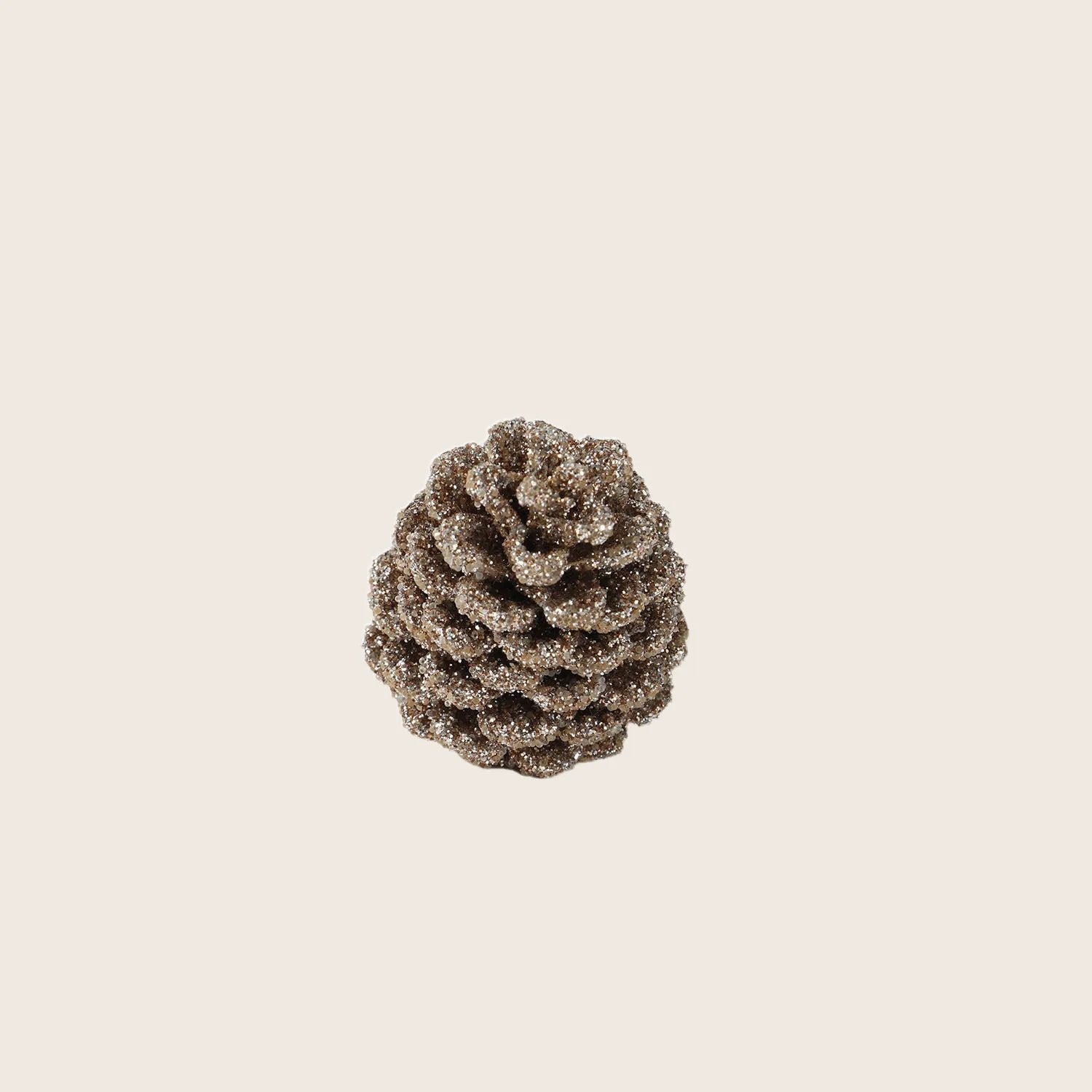 Assorted Pinecones