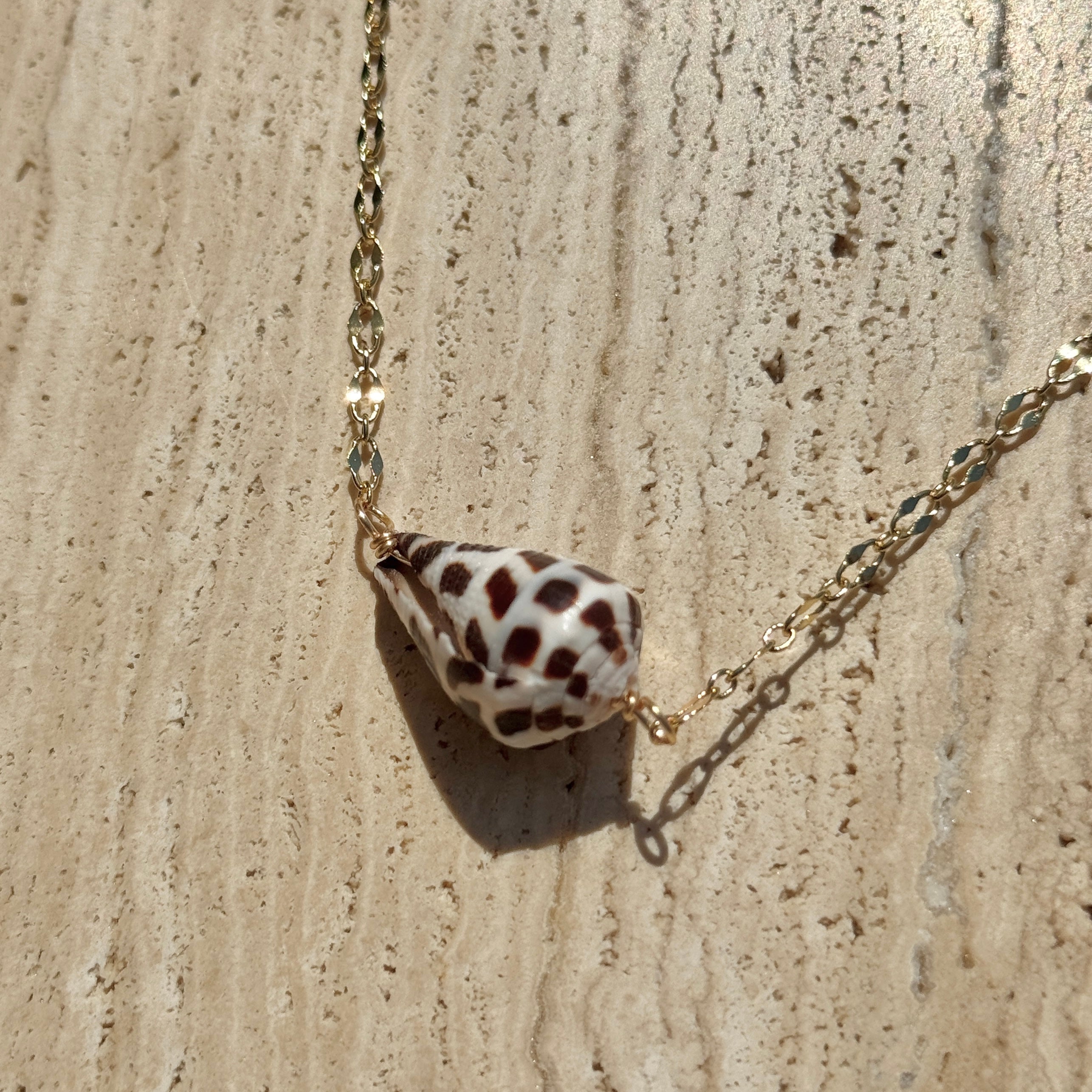 Spotted Cone Shell Necklace