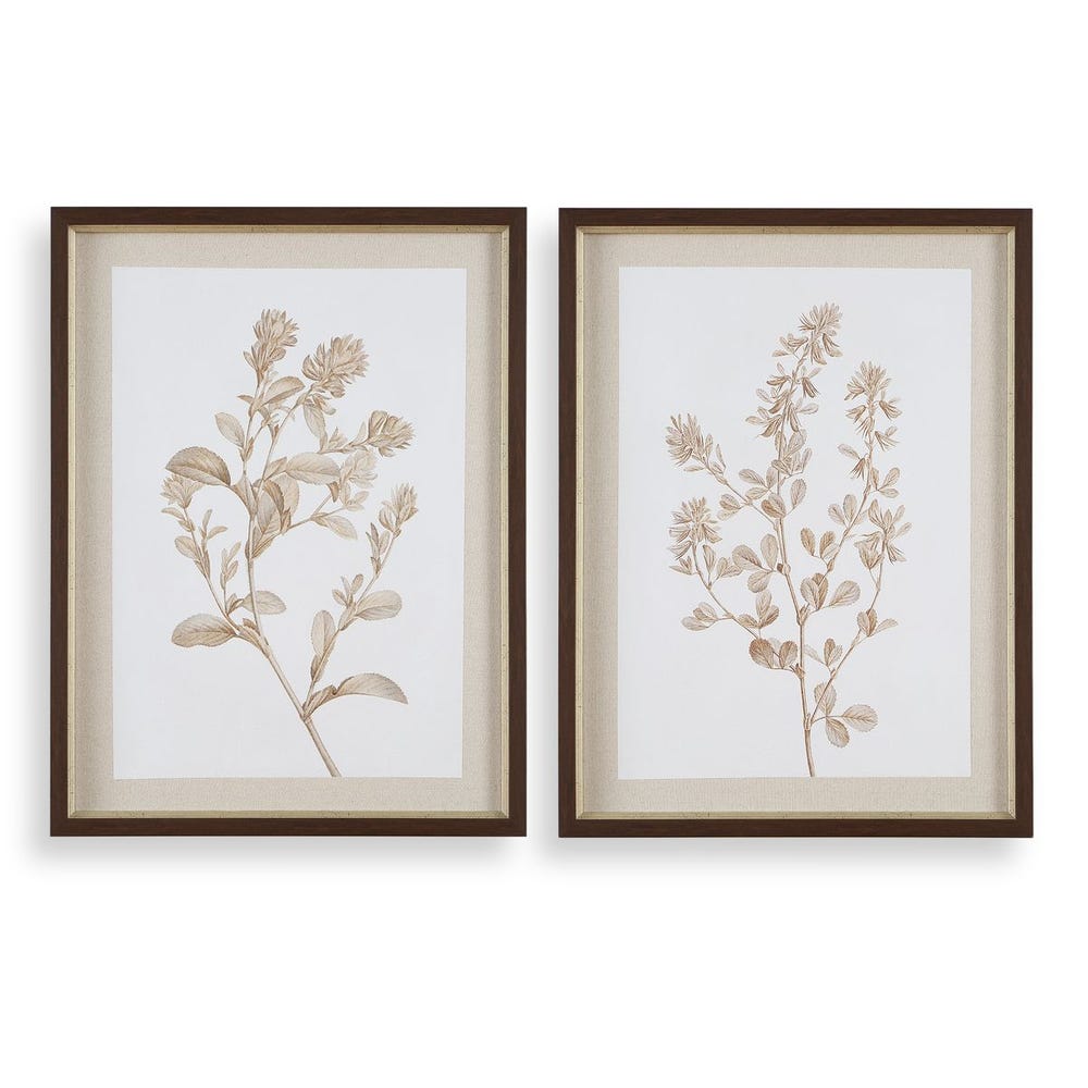 Uttermost Wild Harvest Framed Prints ~ Set Of 2