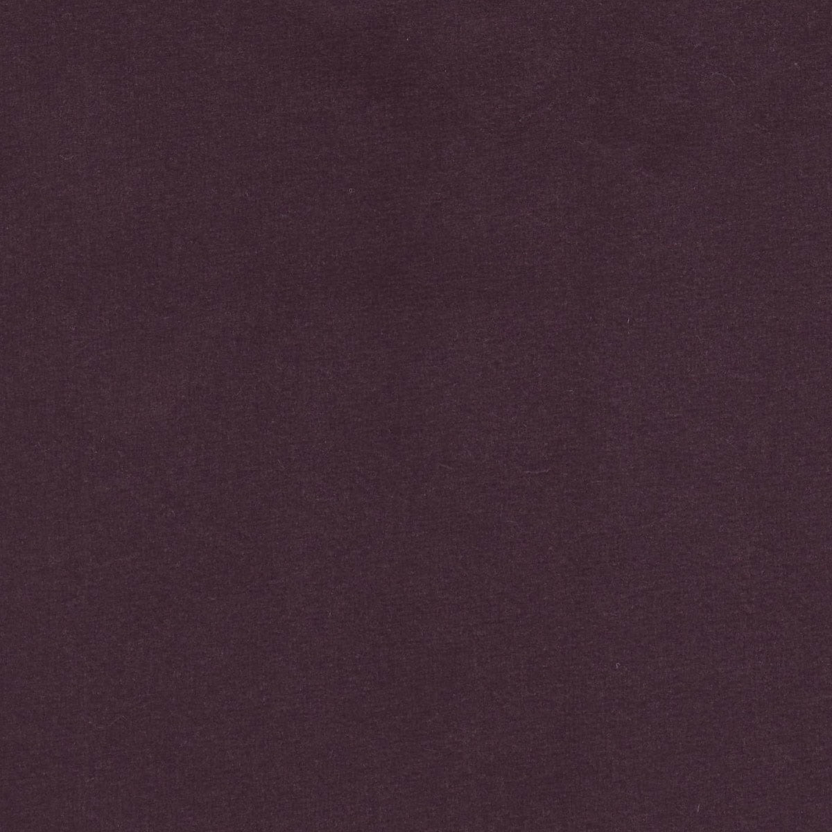 Royale Lavender