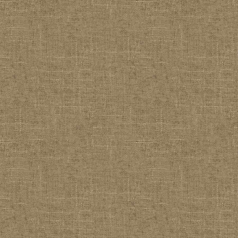 Brentwood Camel