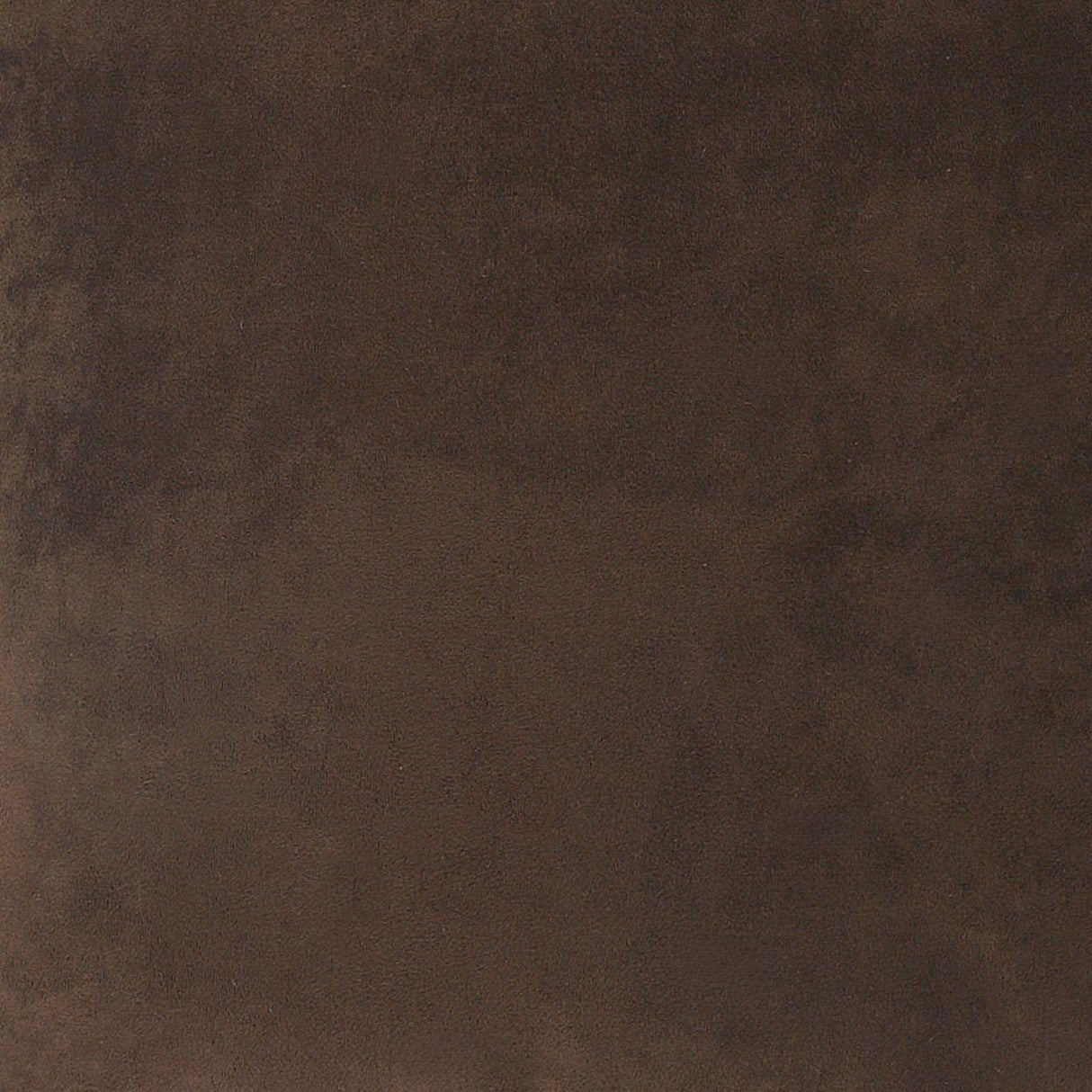 Bella Chocolate