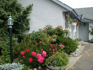 Aster Inn gallery 1