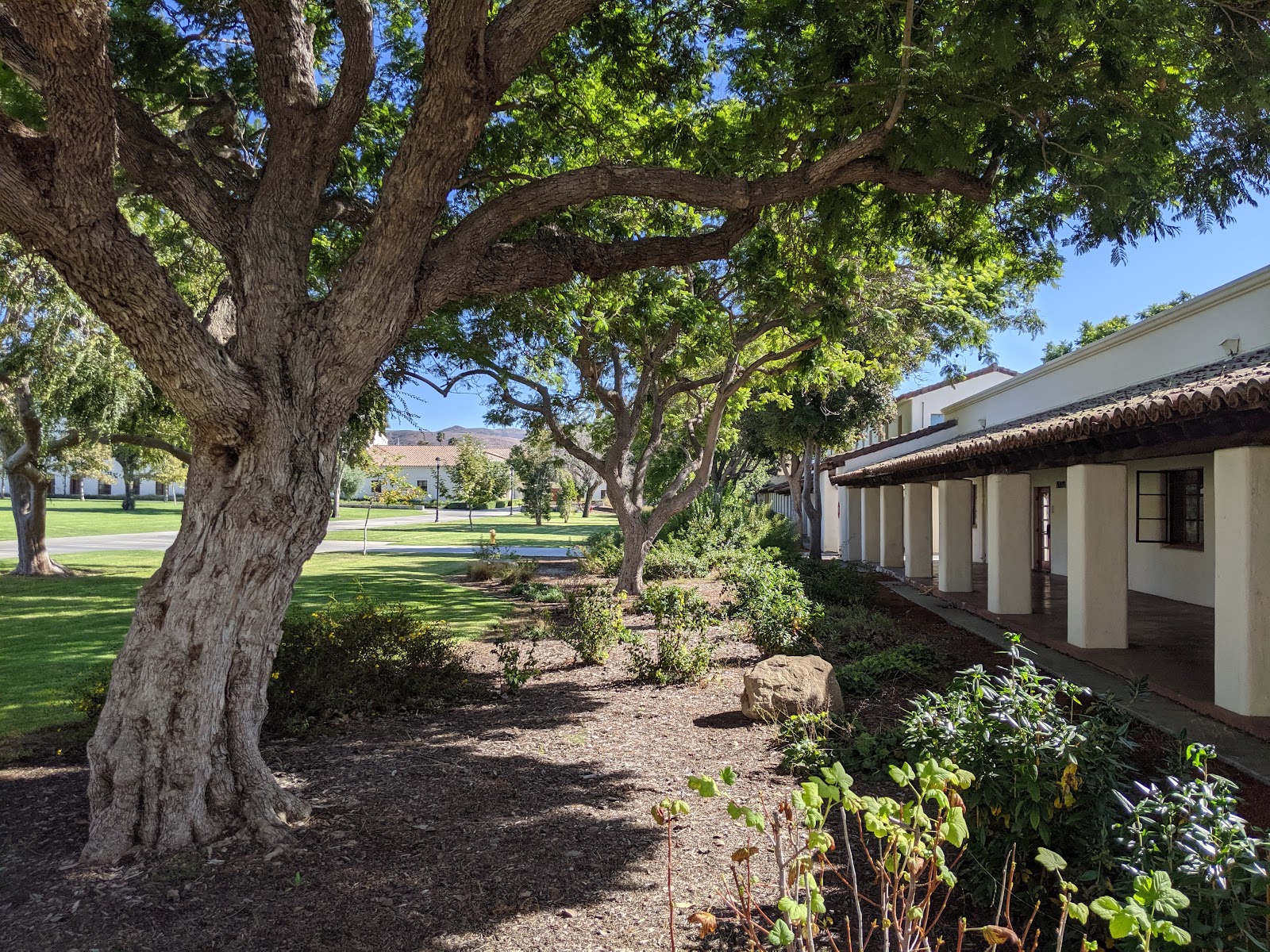 California State University Channel Islands gallery 6