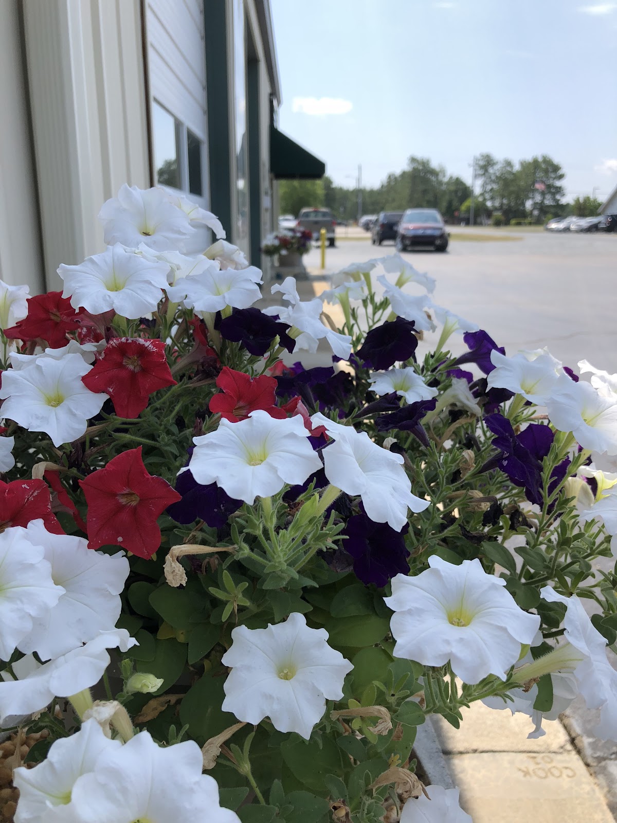 Carolina Car Care gallery 1