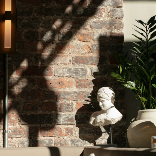 Carta gallery 3