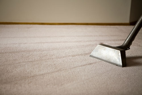 Commercial Carpet Cleaning gallery 1