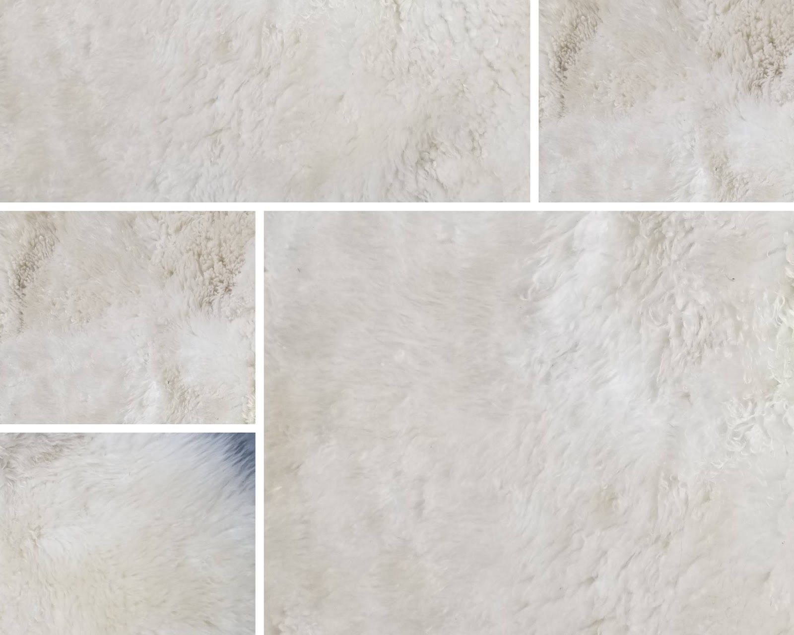 Commercial Carpet Cleaning gallery 3