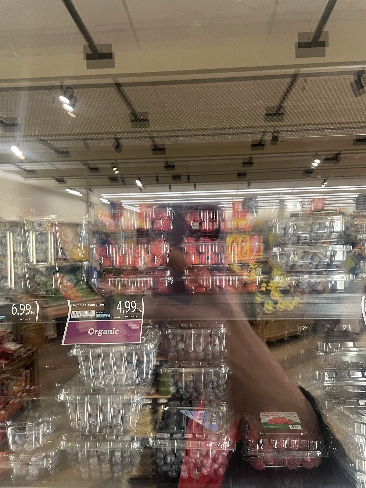 Food Lion gallery 4