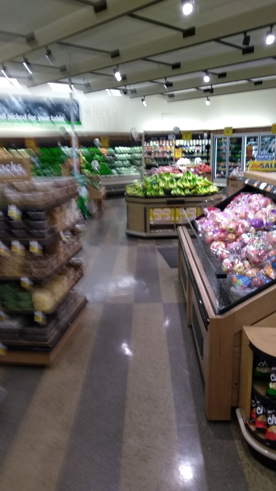 Food Lion gallery 5