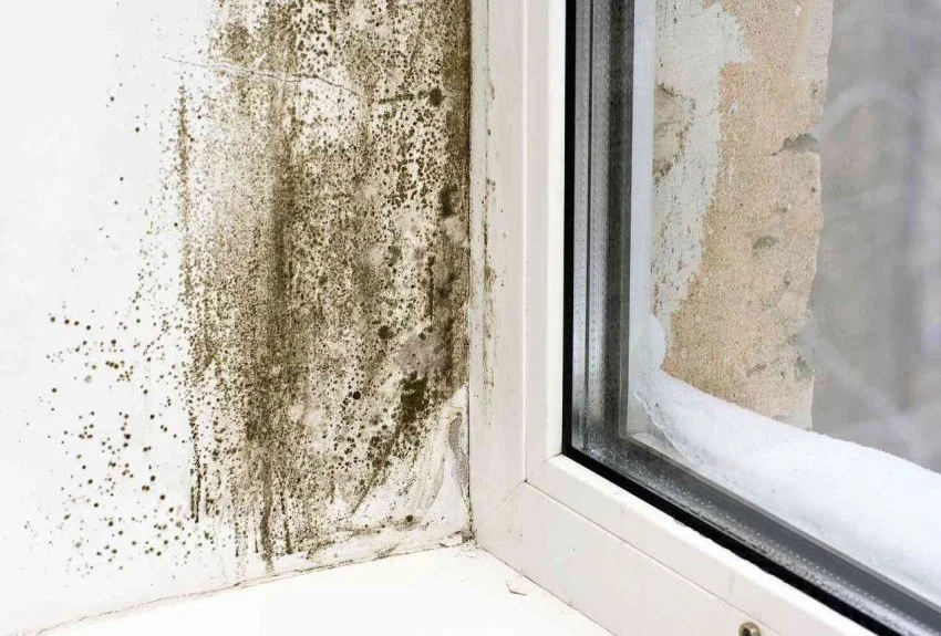 Golden Touch Commercial and Residential Cleaning Service LLC gallery 2