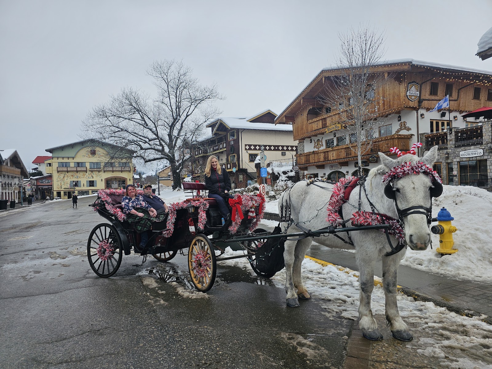 Hans & Franz Lodges gallery 3