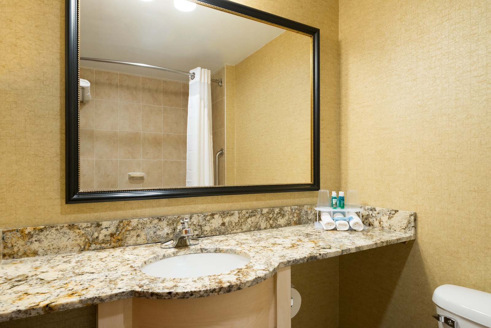 Holiday Inn Express New York City-Wall Street, an IHG Hotel gallery 3