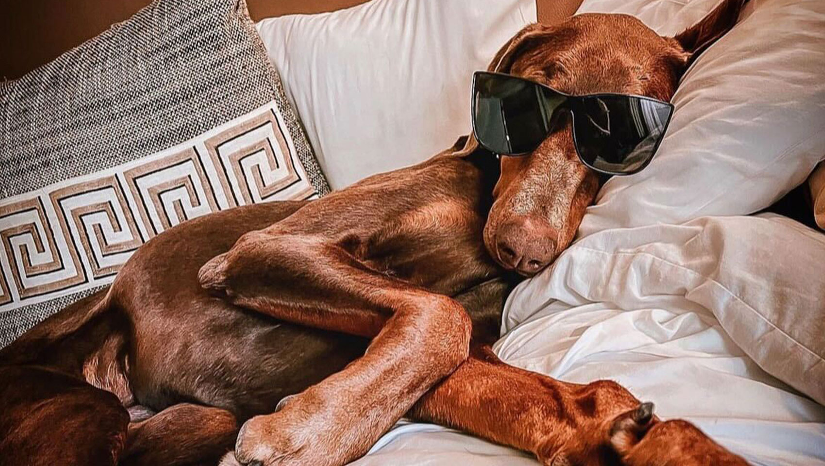 Kimpton Hotel Monaco Washington DC gallery 5