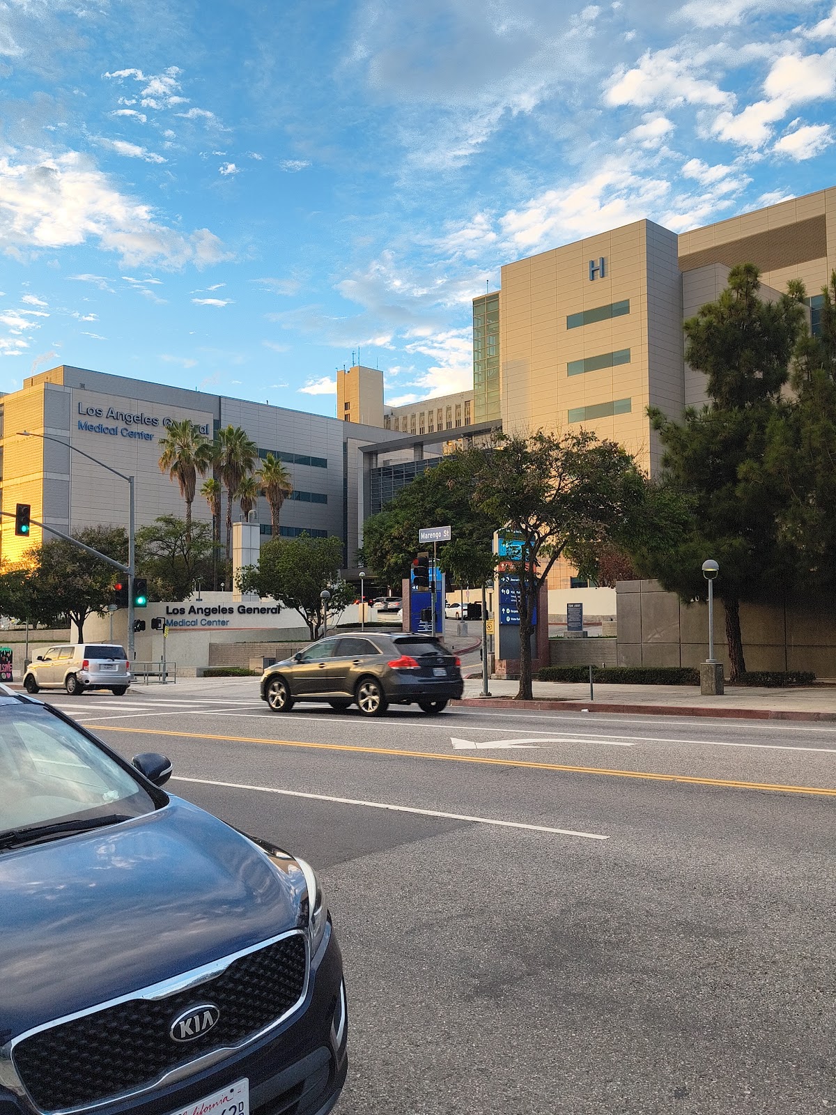 LAC+USC medical center: Radiology gallery 6