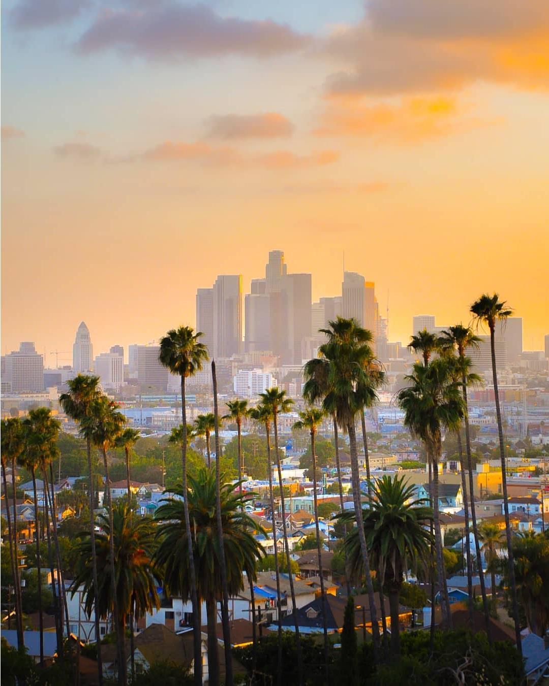 Los Angeles IT gallery 3