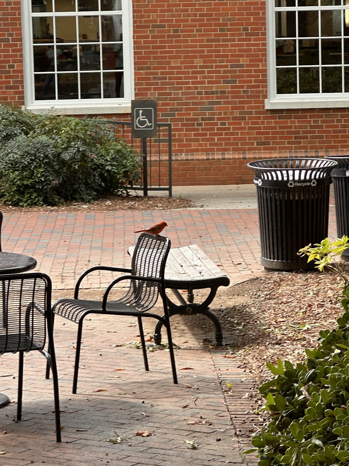 McEwen Dining Hall gallery 1