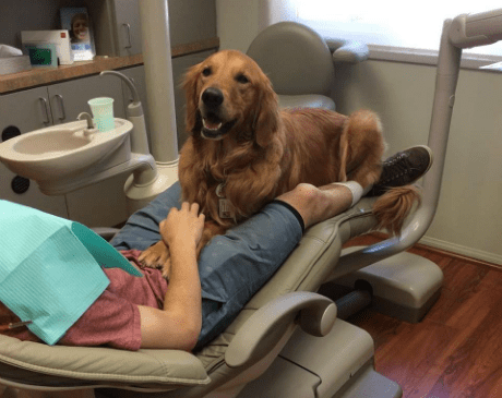 Modern Age Dentistry: Alistair Saeghi, DDS gallery 1