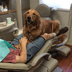 Modern Age Dentistry: Alistair Saeghi, DDS gallery 2