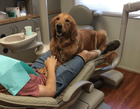 Modern Age Dentistry: Alistair Saeghi, DDS gallery 6