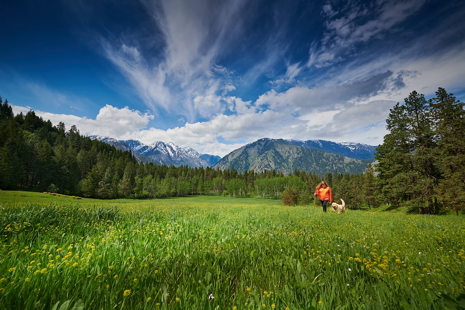 Mountain Home Lodge gallery 4