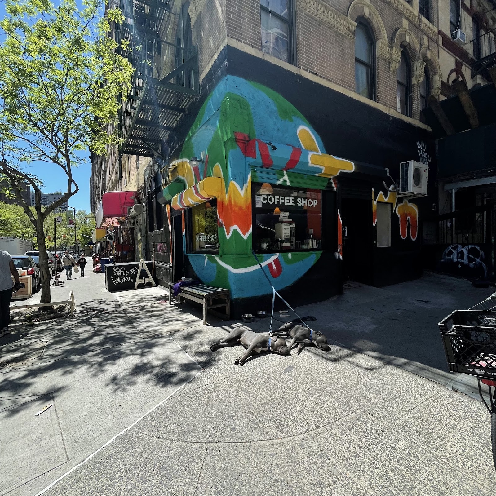 NYC Health + Hospitals/Gotham Health, Gouverneur gallery 6