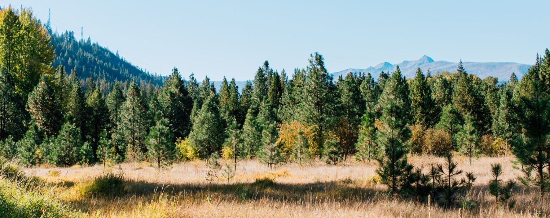 Pine River Ranch Wedding Destination and B&B gallery 6