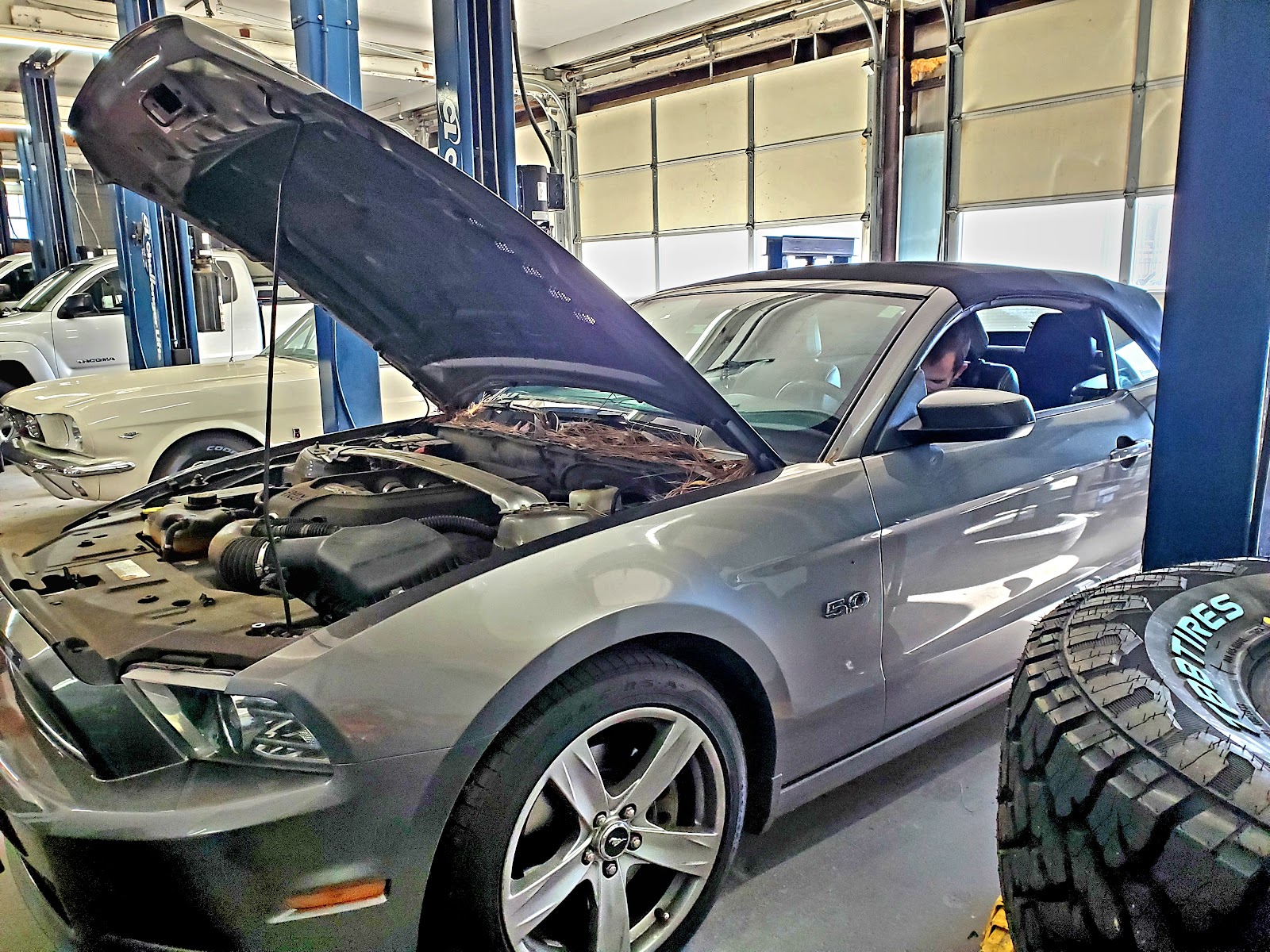 R & N Motor Company gallery 4