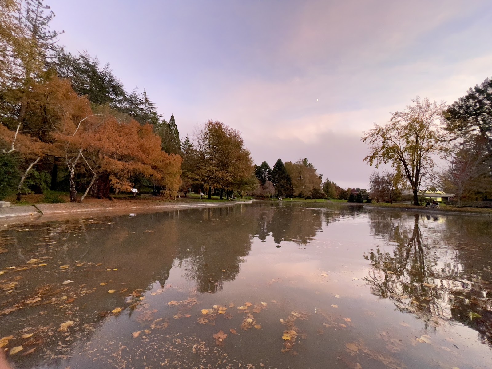 Sonoma State University gallery 2
