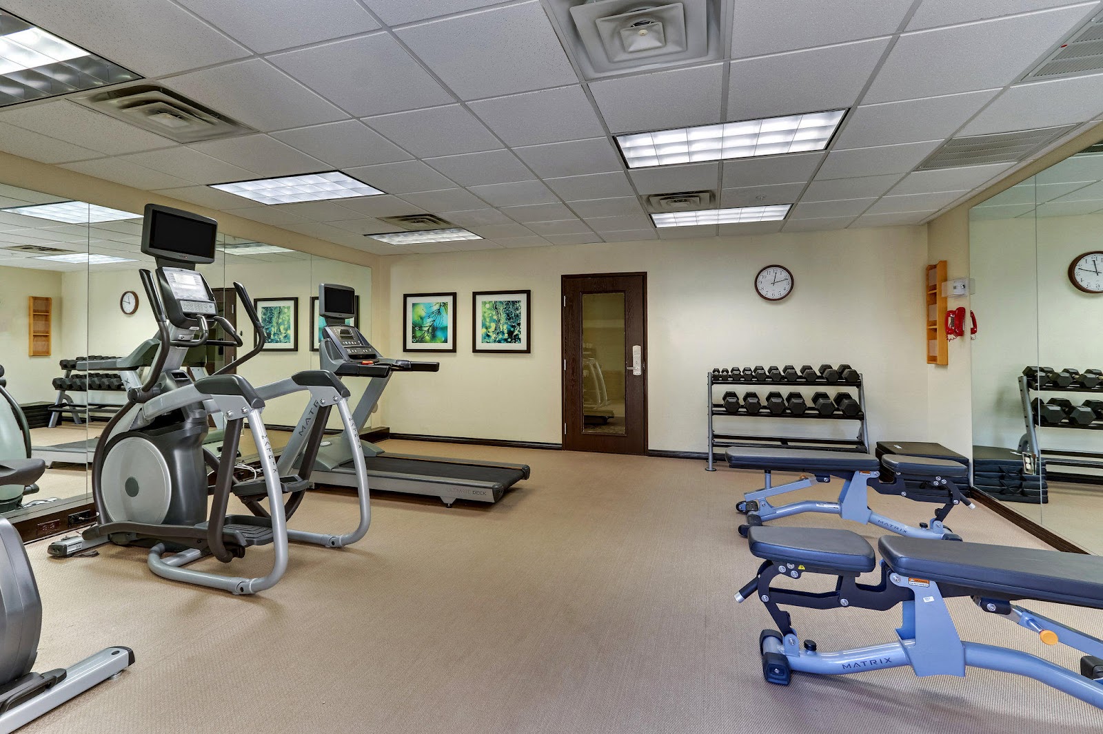 Staybridge Suites San Angelo by IHG gallery 4