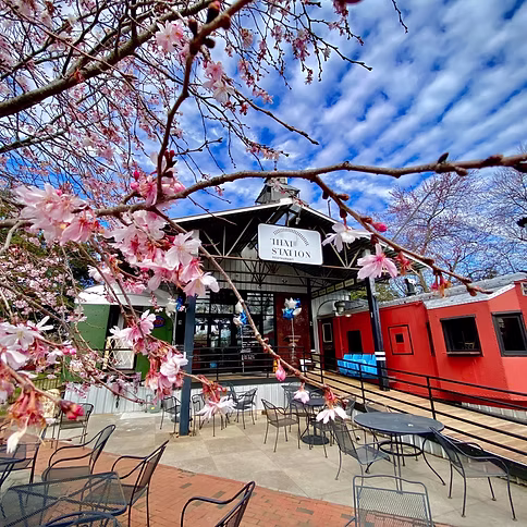 Thai Station Restaurant gallery 5