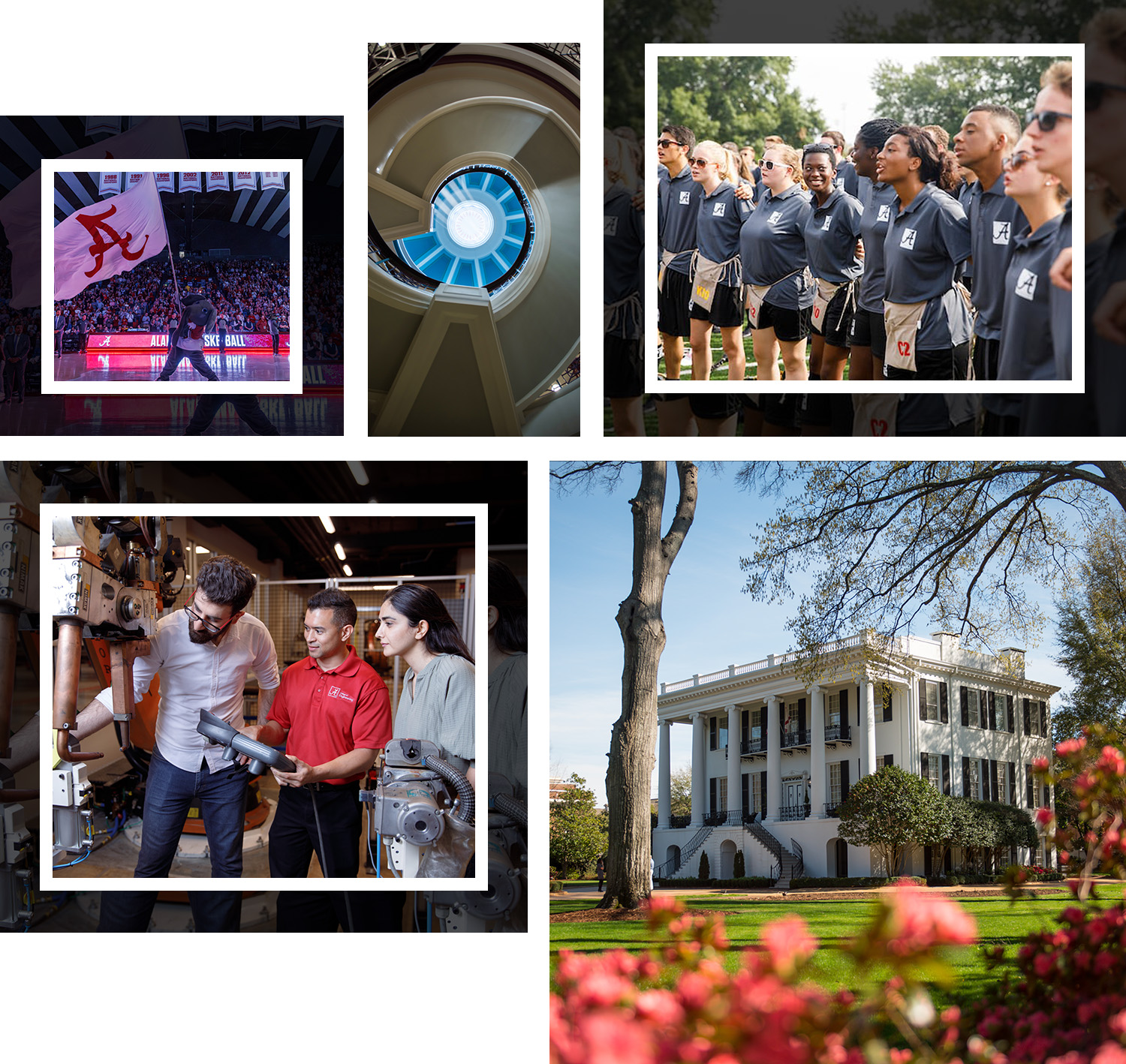 The University of Alabama gallery 3