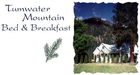 Tumwater Mountain B And B gallery 1