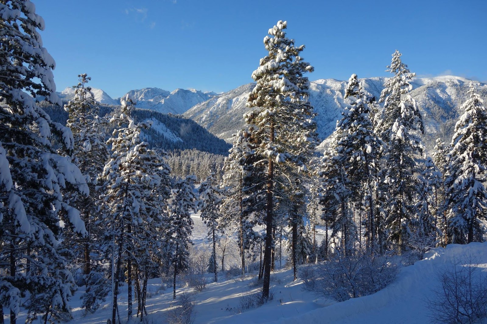 Tumwater Mountain B And B gallery 6