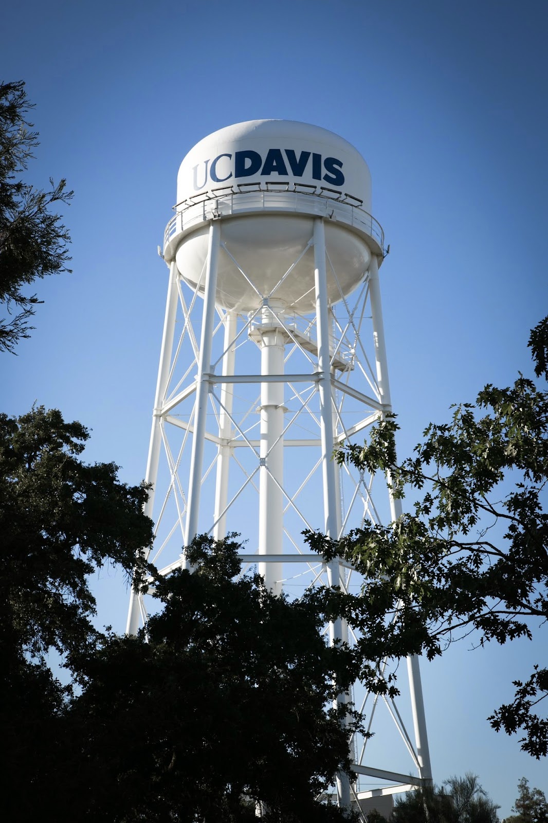 University of California, Davis gallery 4