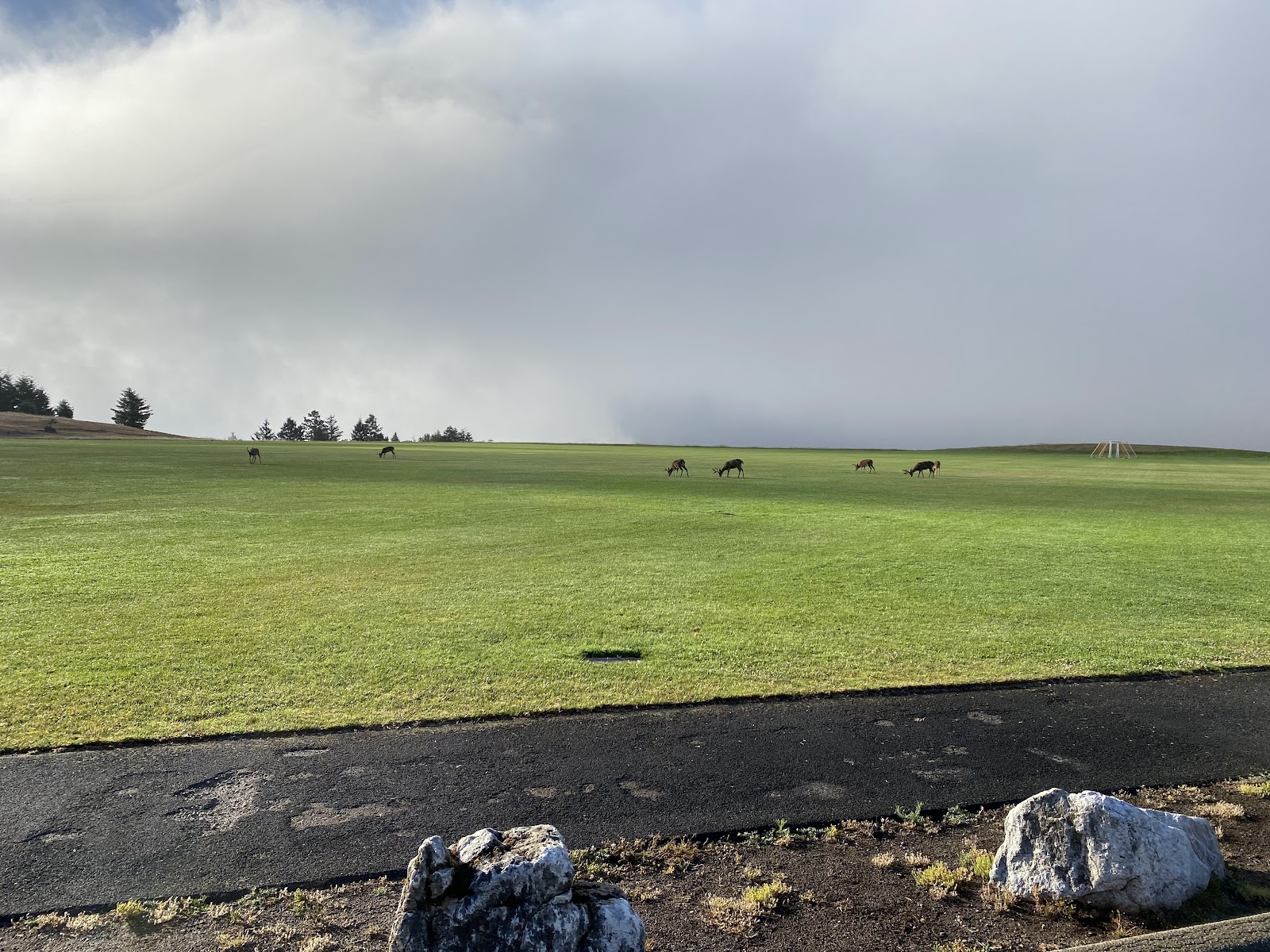 University of California, Santa Cruz gallery 3