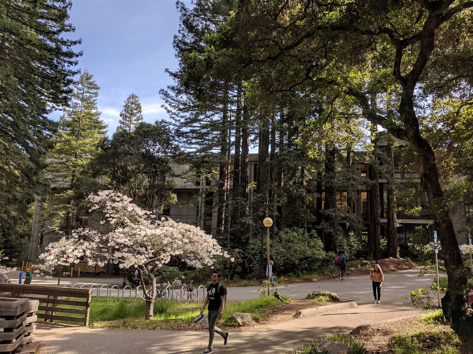 University of California, Santa Cruz gallery 4