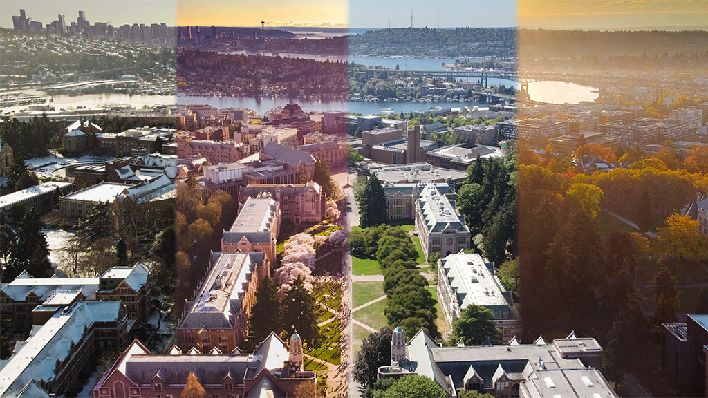 University of Washington gallery 5