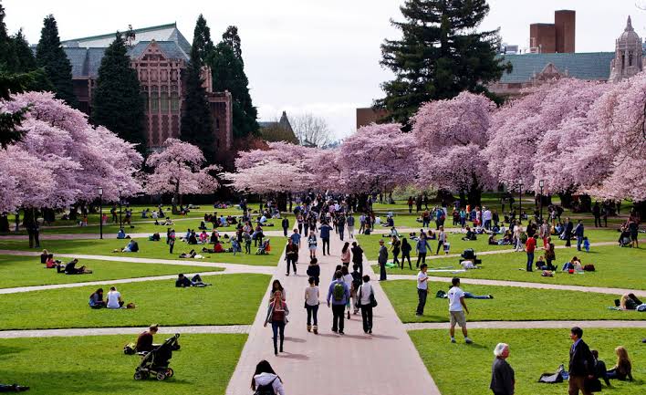 University of Washington gallery 6