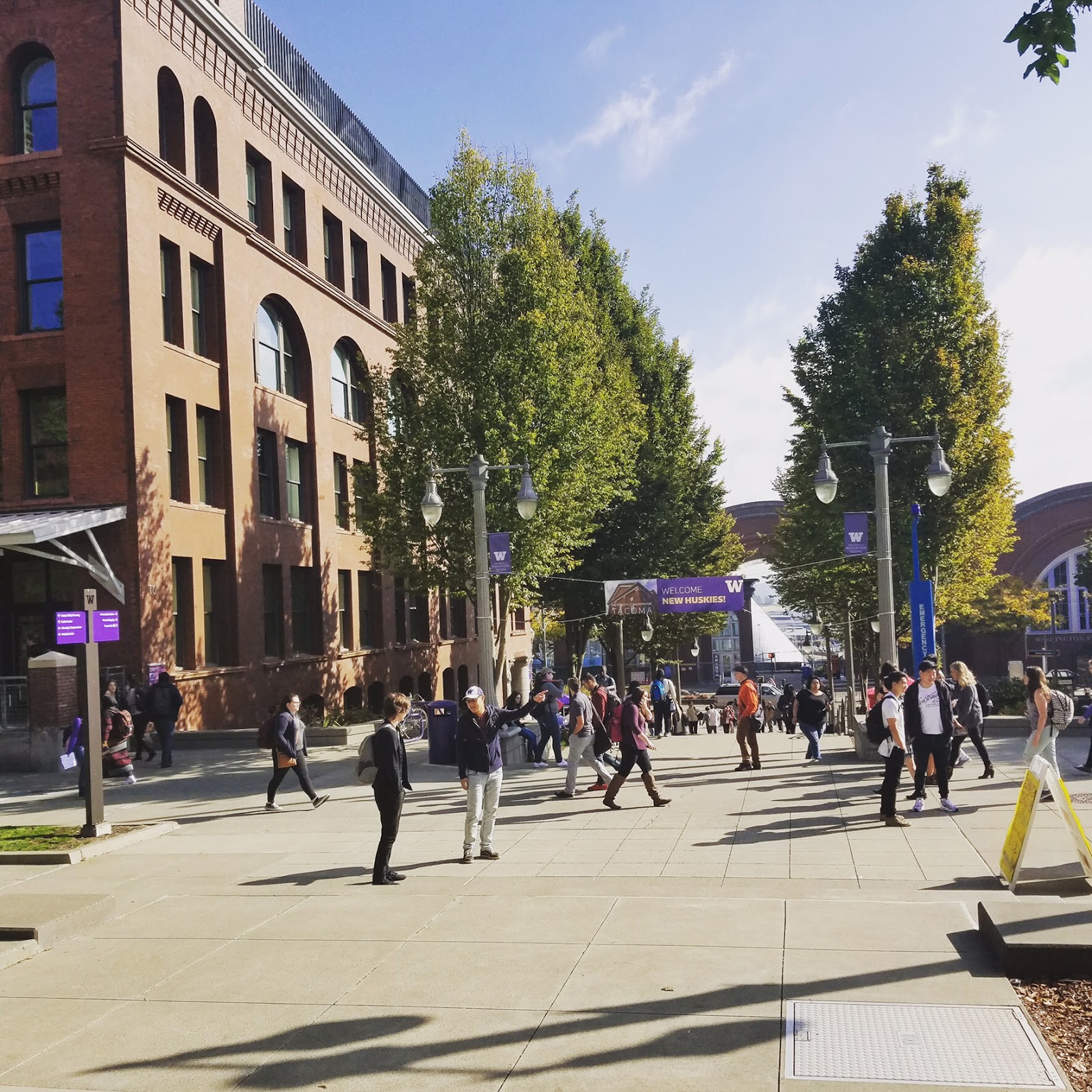 University of Washington Tacoma gallery 4