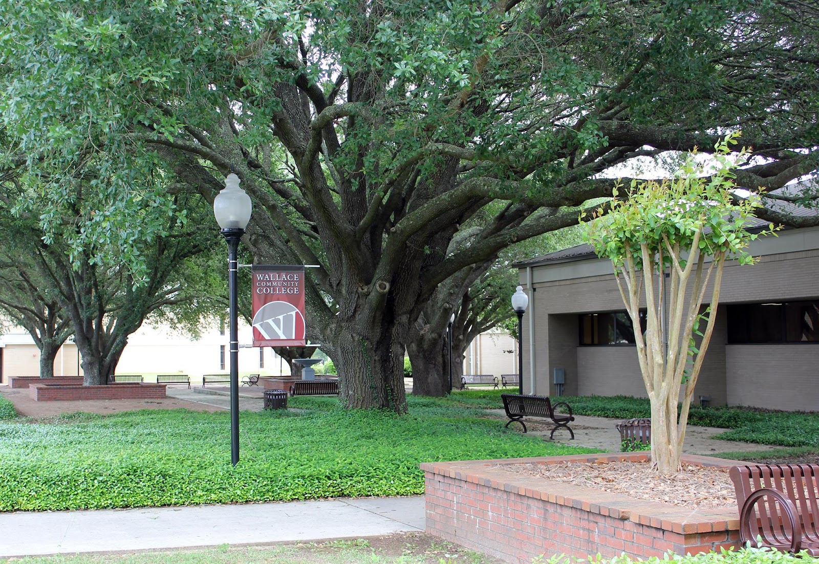 Wallace Community College gallery 3