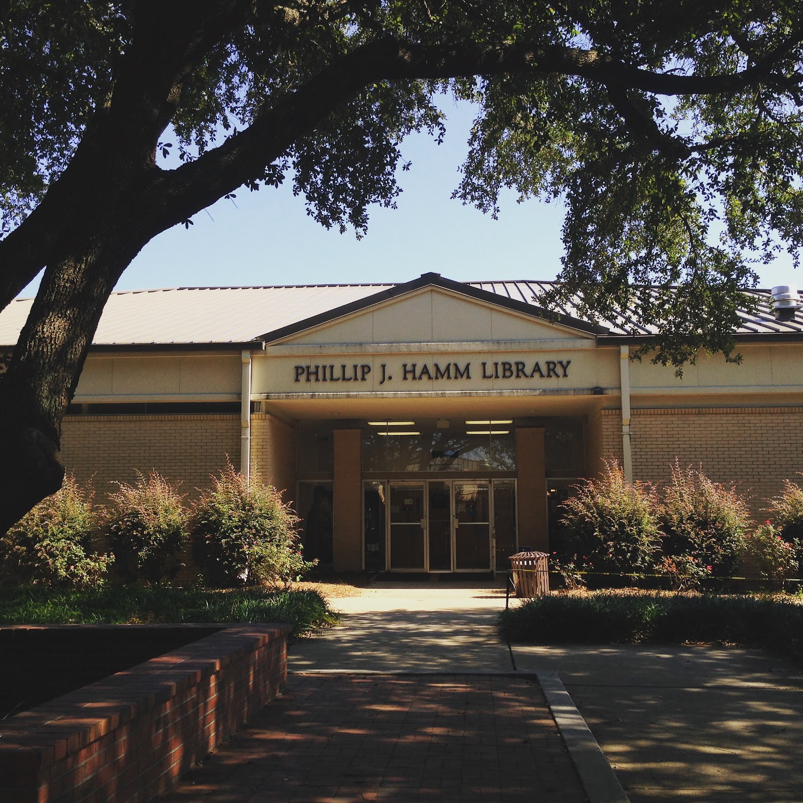 Wallace Community College gallery 4