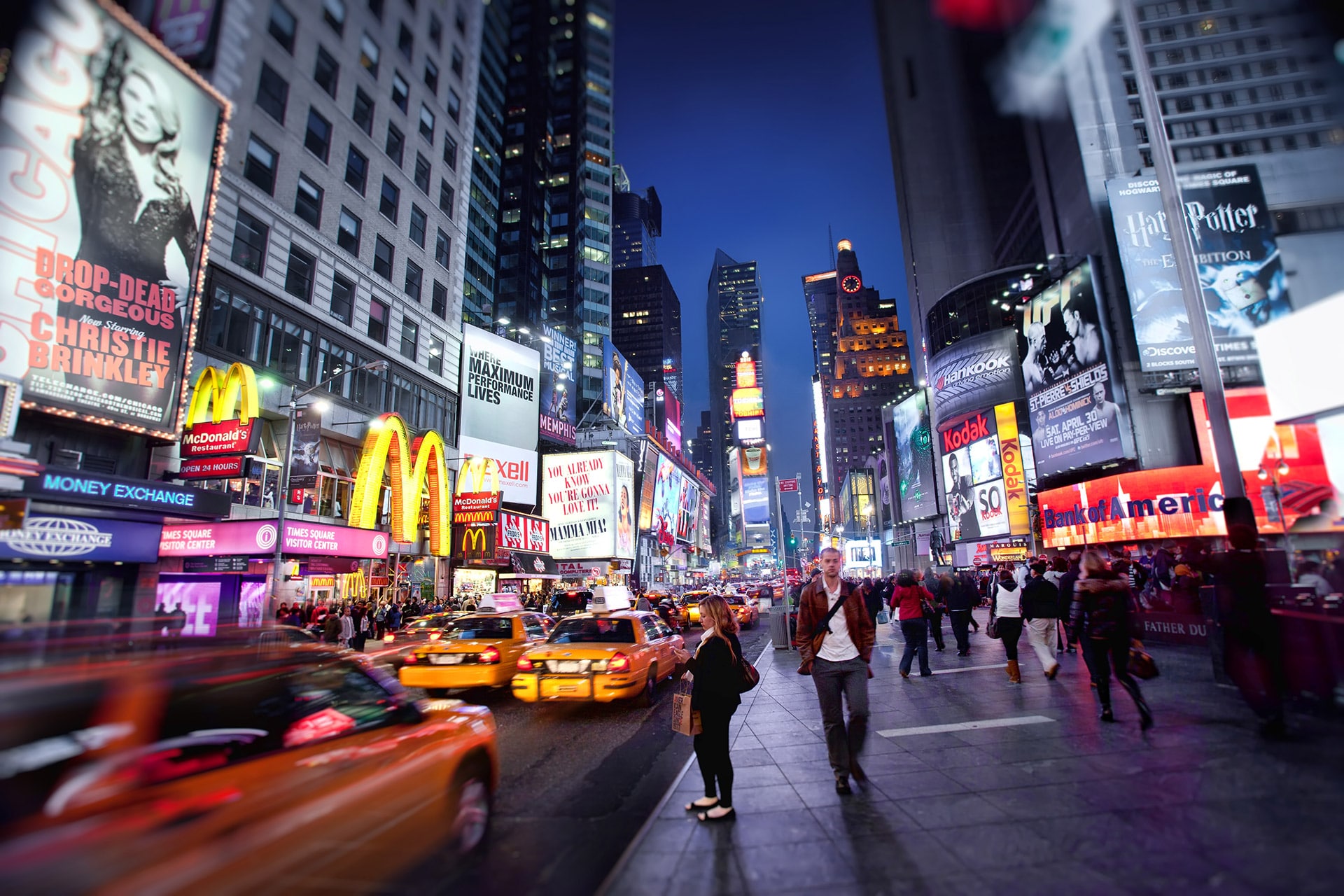 WEB DESIGNER gallery 1