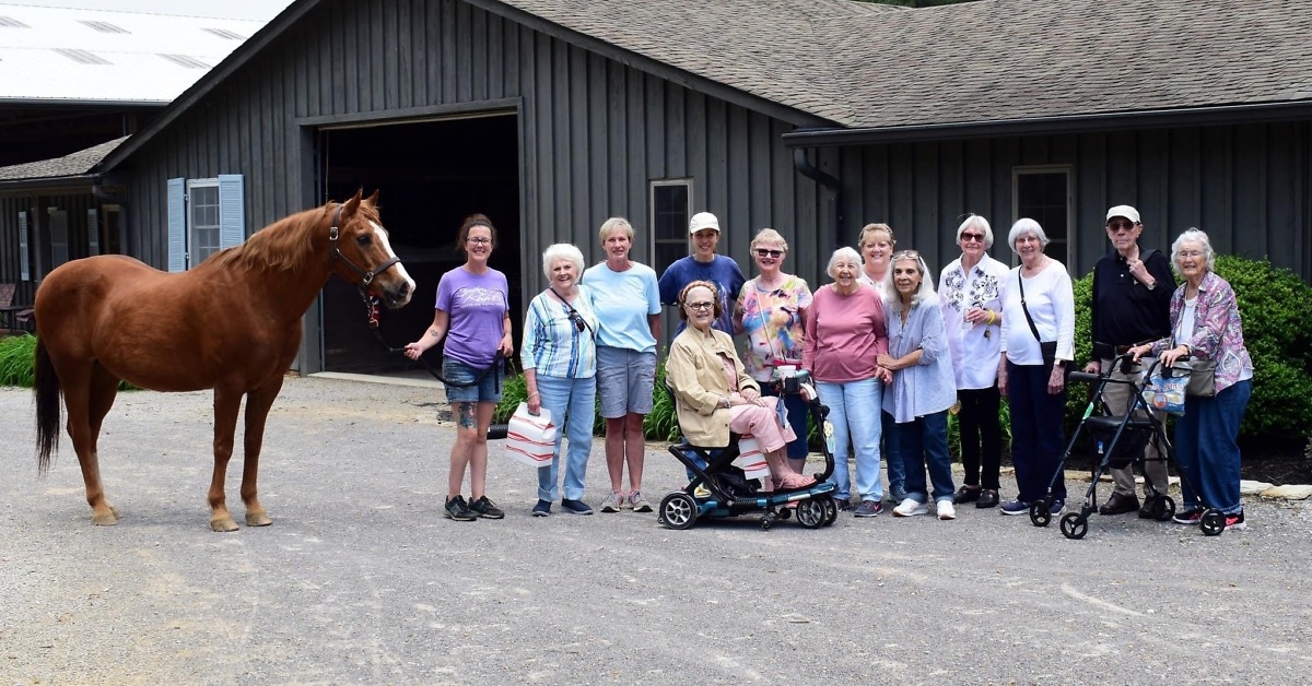 Fun visit Southern Reins Center for Equine Therapy!