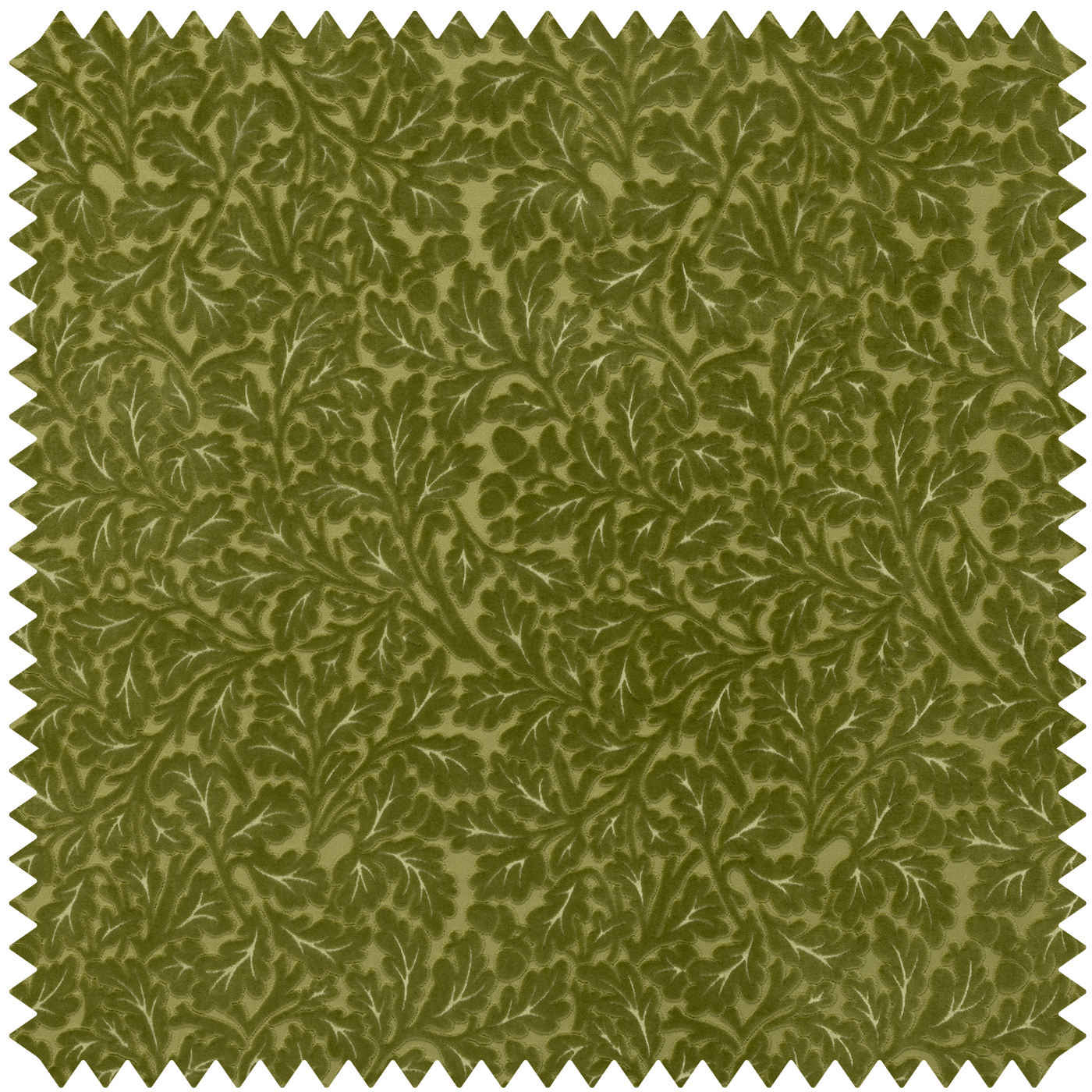 QUERCUS Velvet-Jacquard - Verde