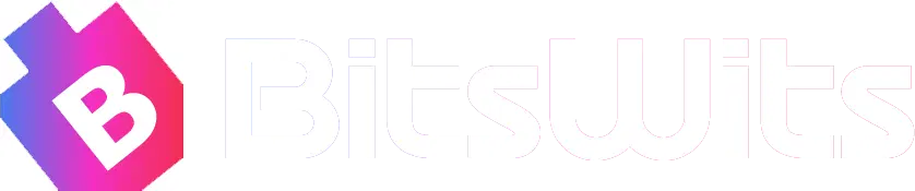 BitsWits New York - Mobile App Development Company