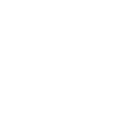 Gonzalez y Gonzalez