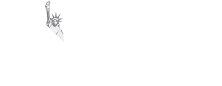 NY WEB EXPERTS