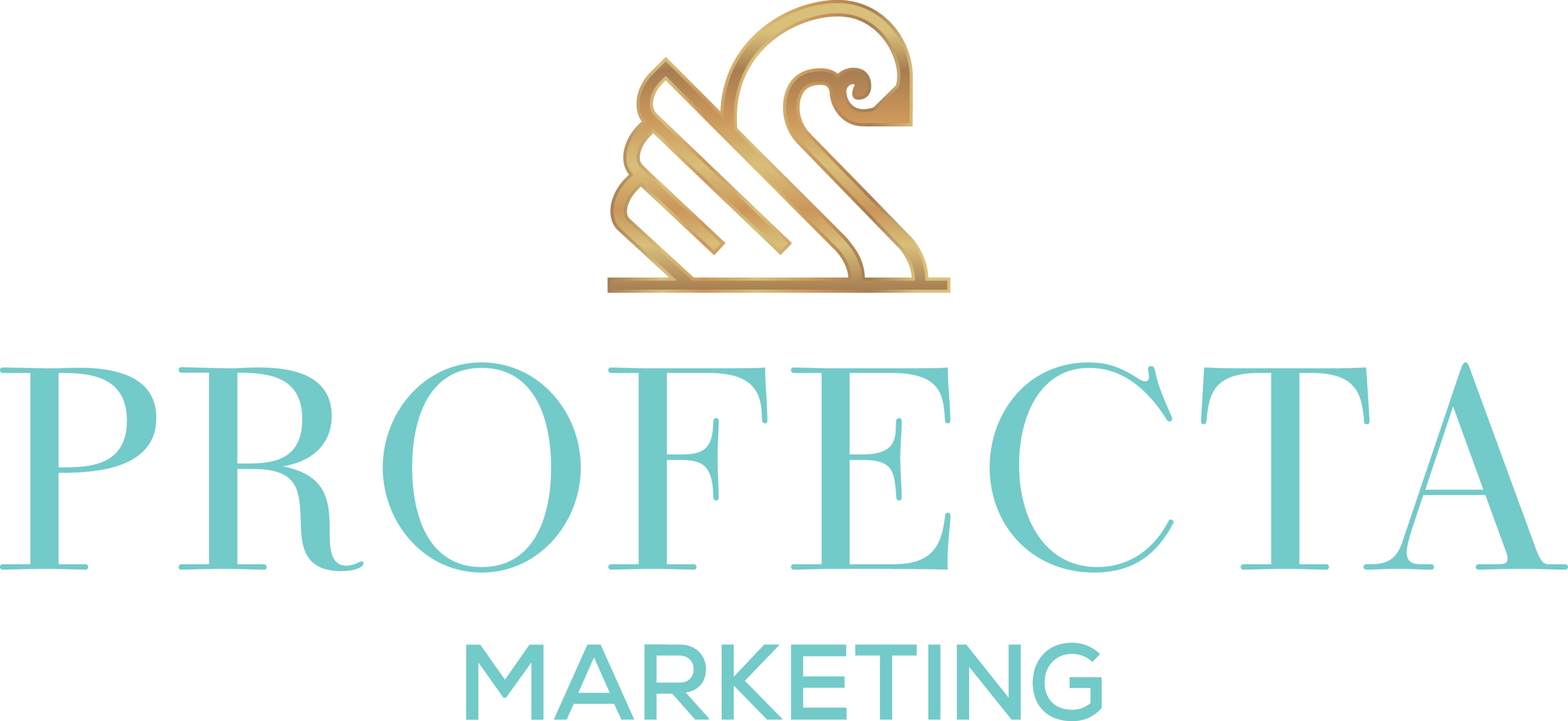 Profecta Marketing