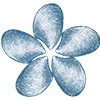 The Clam